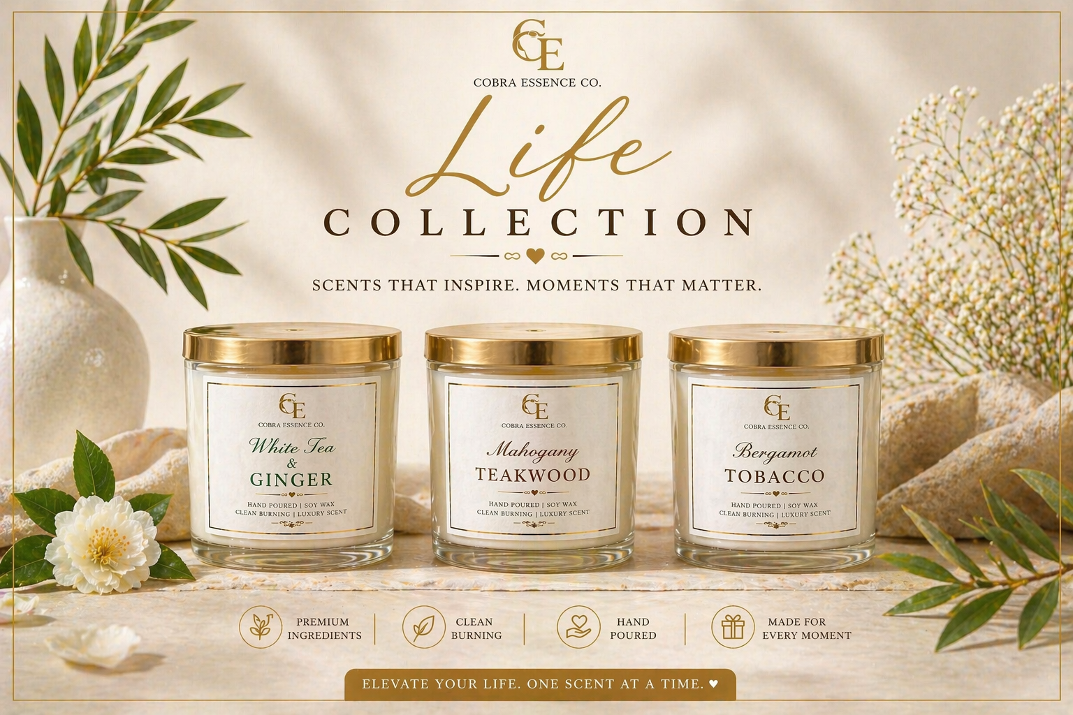 Life Collection